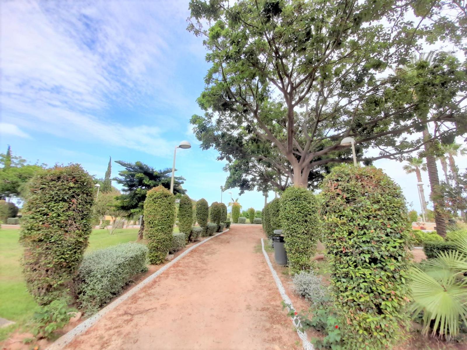 Ayf 1ª Linea Amplio Y Vistas Al Mar Daire Oropesa del Mar Dış mekan fotoğraf